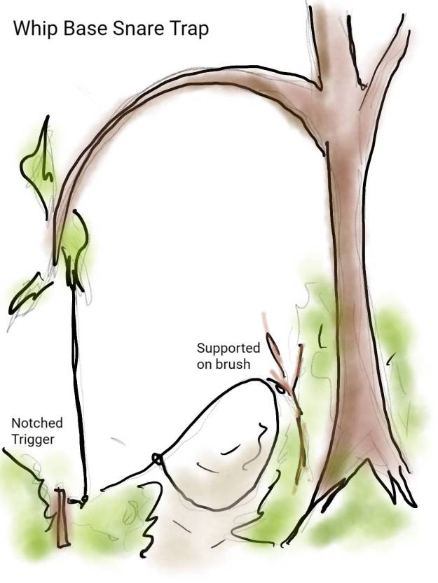 whip trap